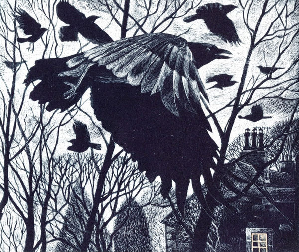 Twilight Crows by Pamela Grace