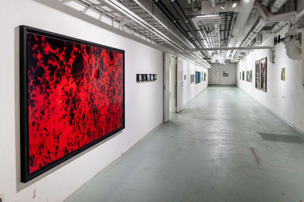 Galleri Duerr Collapse Of A Mass Fotograf Hendrik Zeitler 11