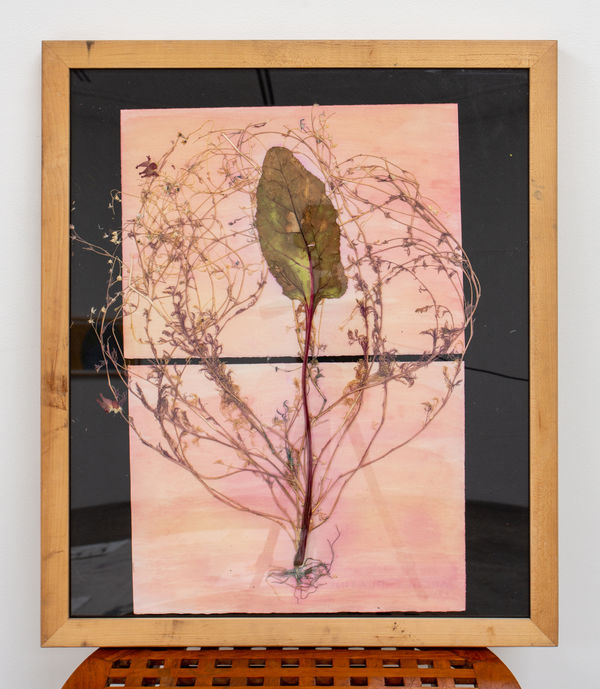 Edgar Cruz Anthotype I (Beet), 2022 Anthotype on paper 22 x 15 in / 55.9 x 38.1 cm