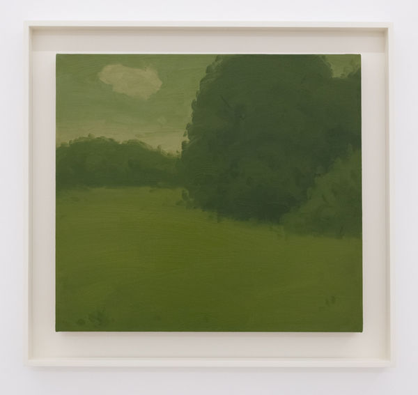 Inthetallgrass Oilonlinen 20X22X1 1 4In 2023 A Hr