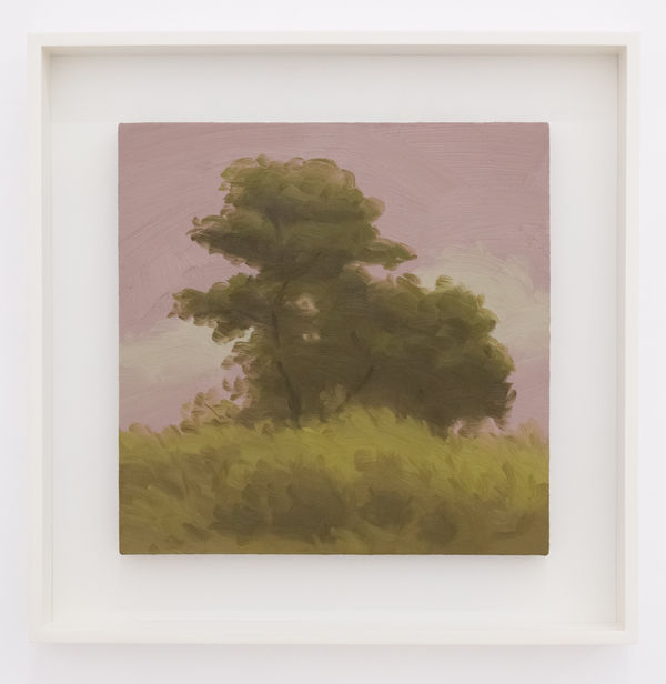 Twotreesandpinksky Oilonlinen 12X12X3 4In 2023 A Lr