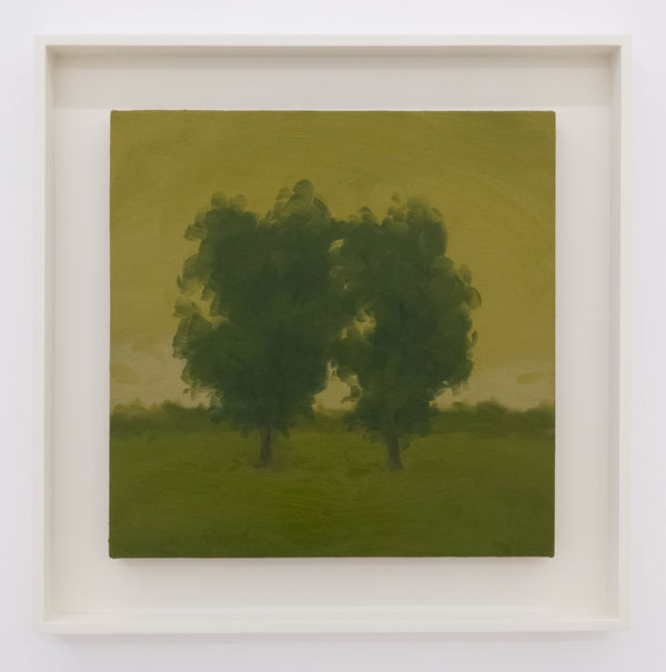 Twotreesforay Oilonlinen 14X14X7 8In 2023 A Lr