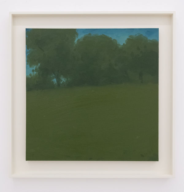 Woodlands Oilonlinen 20X20X7 8In 2023 A Lr