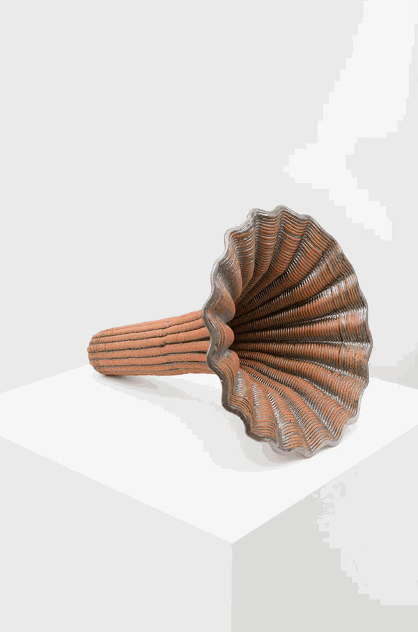 Sarah Rosalena: In All Directions