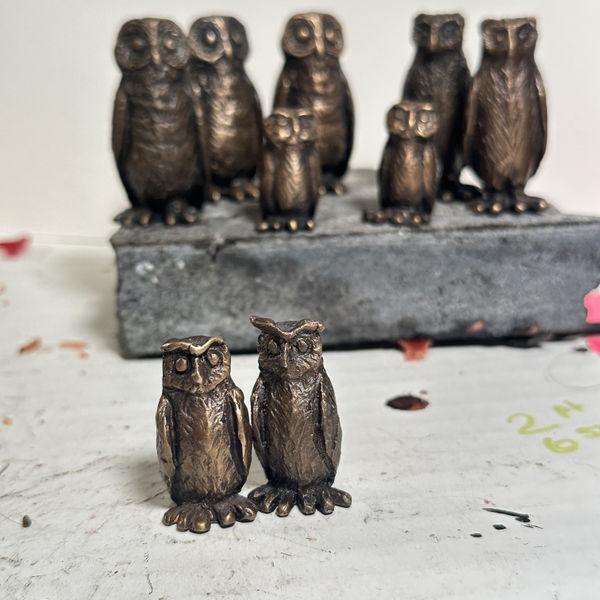 Owlette IV , New! From the Parliament of Owls