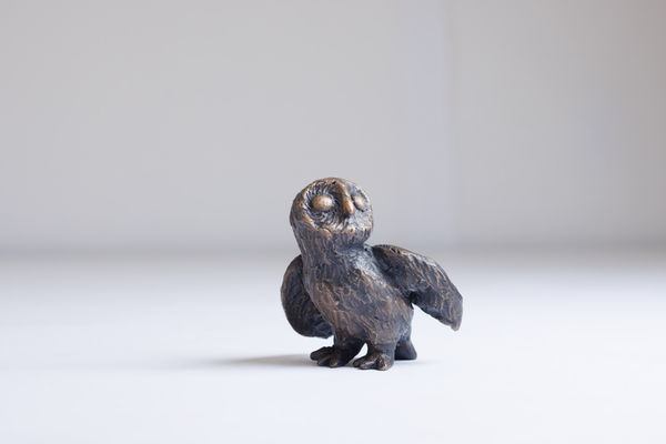 Little Wild Owl (Owl 5), From the Parliament of Owls