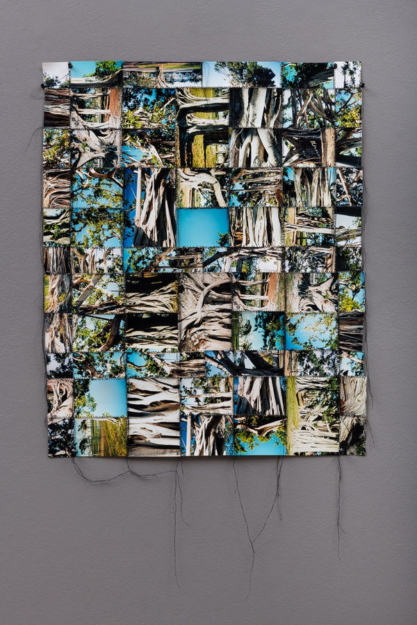 Hunter Reynolds, Banyon Tree, 2007, Photo-weaving with chromogenic prints and thread, 74.7 x 60 cm, 29 3/8 x 23 5/8 in