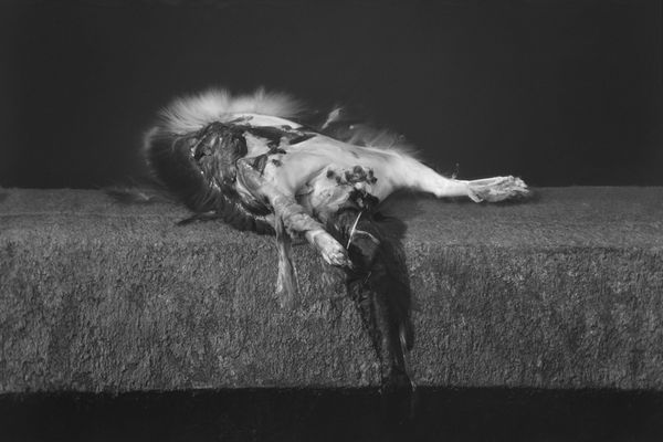 Stuart Brisley, Georgiana Collection, 1979/2016, Digital archival print on Da Vinci Crystal Satin cotton fibre paper / 330 gsm, Framed: 51.9 x 77.3 cm, 20 3/8 x 30 3/8 in