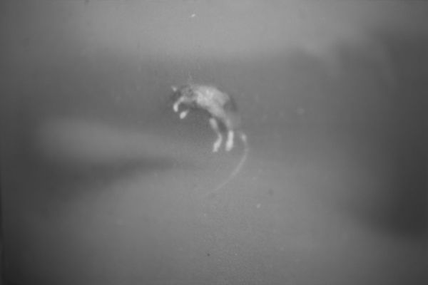 Stuart Brisley, Georgiana Collection, 1979/2016, Digital archival print on Da Vinci Crystal Satin cotton fibre paper / 330 gsm, Framed: 51.9 x 77.3 cm, 20 3/8 x 30 3/8 in