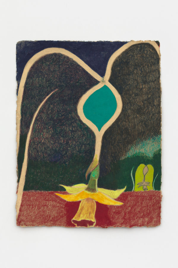 Anthony Cudahy, Mutated flowers, 2023