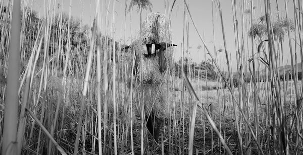 Tuli Mekondjo Kalunga Ka Nangobe God Of Nangobe 2020 Digital Video 352 Edition Of 3 T Mek0104