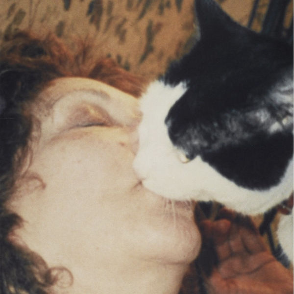 Detail of Carolee Schneemann, Infinity Kisses II, 1990-1998