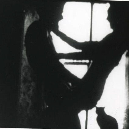 Carolee Schneemann, Fuses, 1965