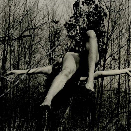 Carolee Schneemann, Study for Up To and Including Her Limits, 1973