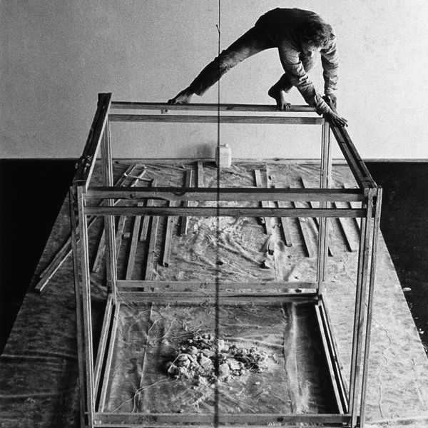 Stuart Brisley | Yes, but is it performable? Further Investigations into the Performative Paradox | Kunstlerhaus Graz