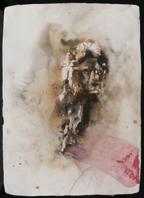 Paul Richards: The Oxford Drawings