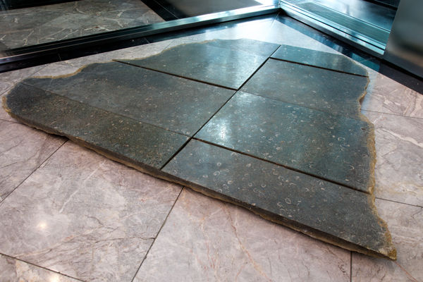 Rotherley Stone III, 2009 Blue Purbeck marble 135 x 180 x 5 cm Photo © Heini Schneebeli / Bridgeman Images