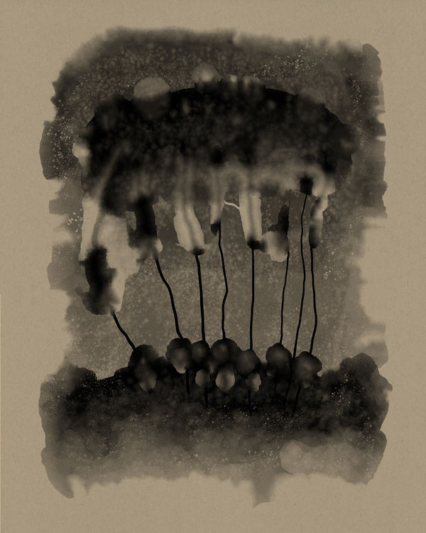 Theosophic Study 053, 2024