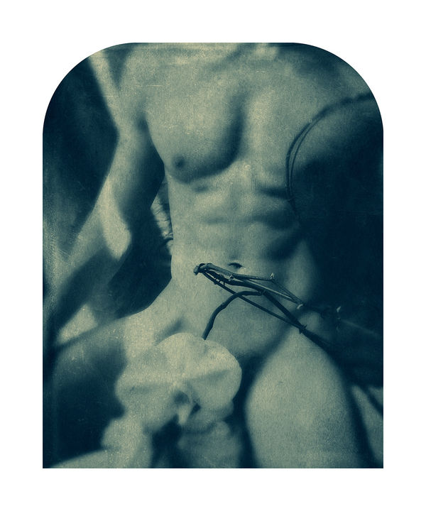 Ted Kincaid, The Logos Pervading All, 2018-22