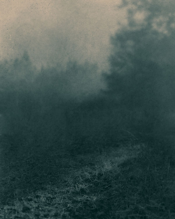 Ted Kincaid, Early Morning 321, 2015