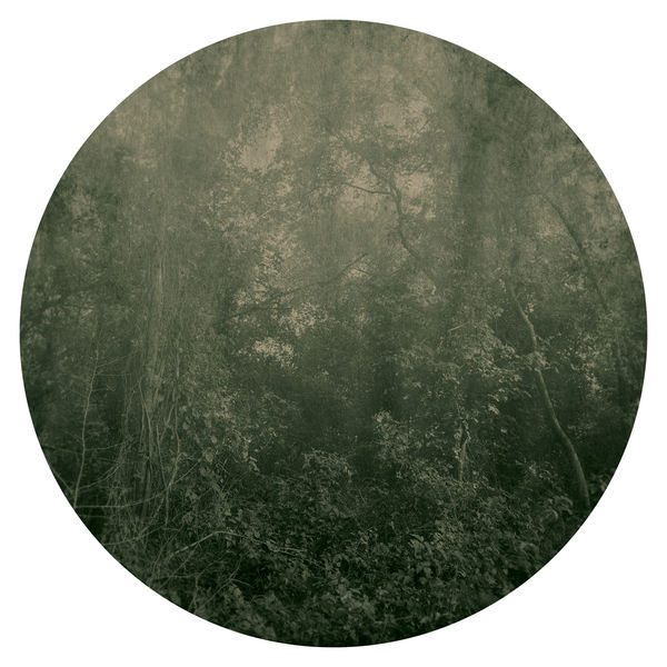 Ted Kincaid, Trinity 1103, 2015