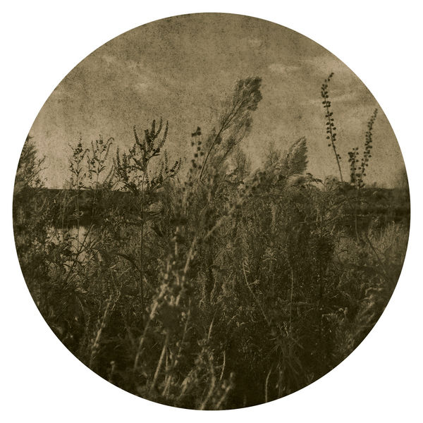 Ted Kincaid, Trinity 1110, 2015