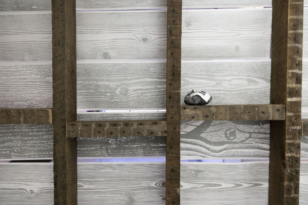 Paradise Exhibition Uc 14