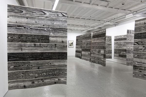 Paradise Exhibition Uc 18