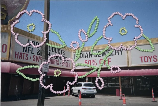 Krystle Silverfox Distant Relatives