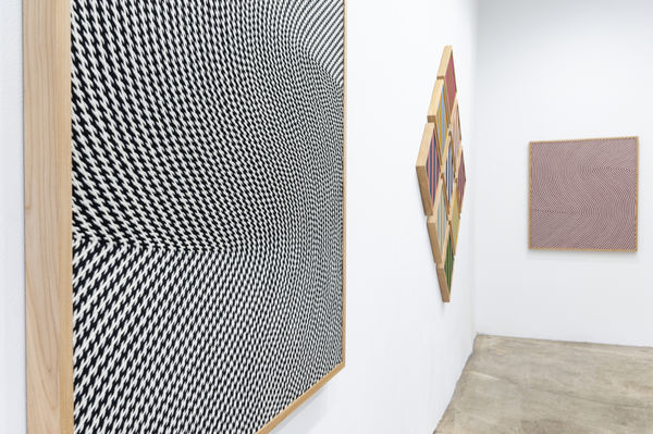 Matthew Larson Massey Klein Gallery Autofocus Install 5