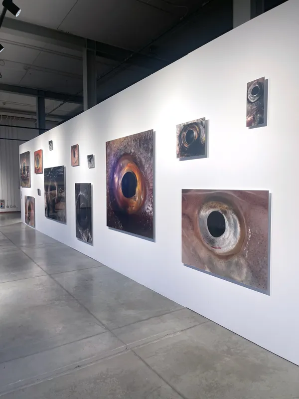 BIENALSUR 2025: Bruna Esposito