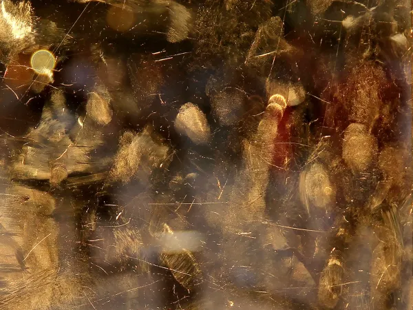 WIZARD GALLERY at miart 2026, ART FAIR | MILAN | Booth A14