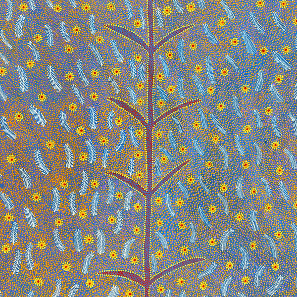 June Bird Ngale - Bush Medicine (Alpar) by June Bird Ngale, 2024