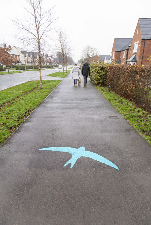 Copy Of 20241213 Ebp Kl Swiftly Event 0051 89