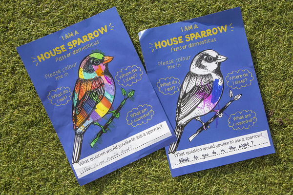 20250922 Ebp Kl Gwp 0084 110