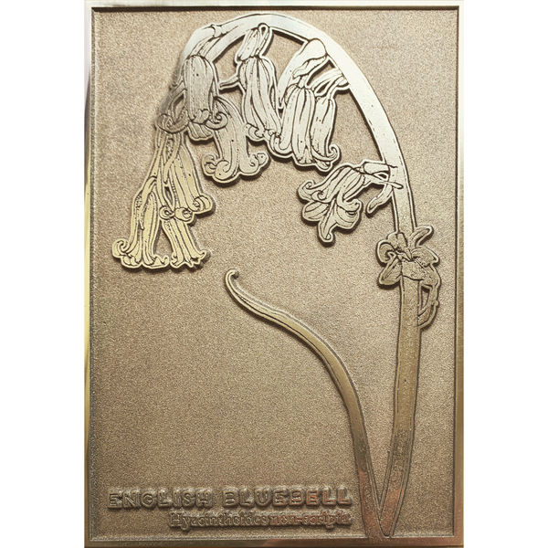 572E890D Ea04 4295 8949 A154360948C8