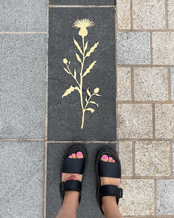 88A0704E D3E3 4C12 896B 1732028F430C