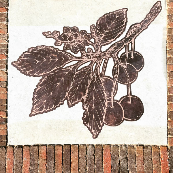 676C1Db5 Be73 479F A34A 55B3D64D14C5