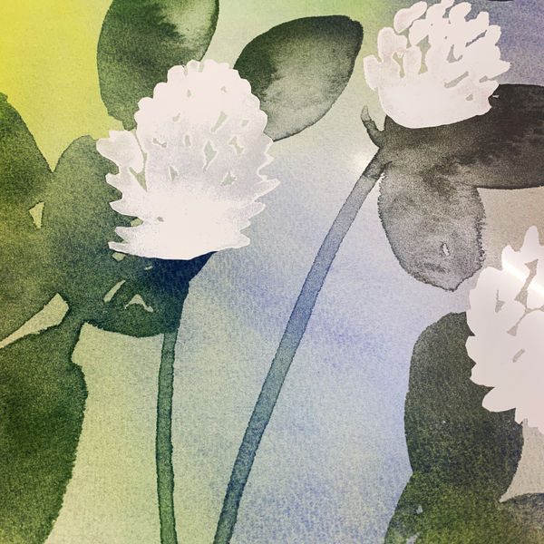 Fd2B727F 7370 4B26 B563 212Ae75750Ae