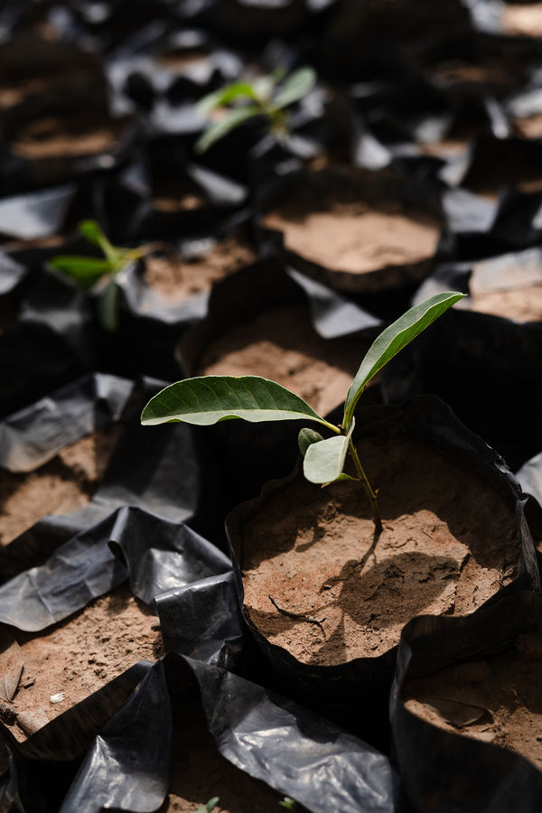 24 Kerry Lemon Shea Ak 25 Copy