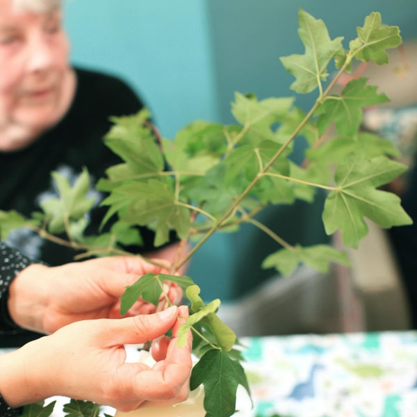 6F09B154 1141 40A5 Afef 7Cdbe7D78246