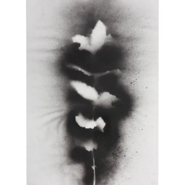 UKRAÏNA - S E R I E S