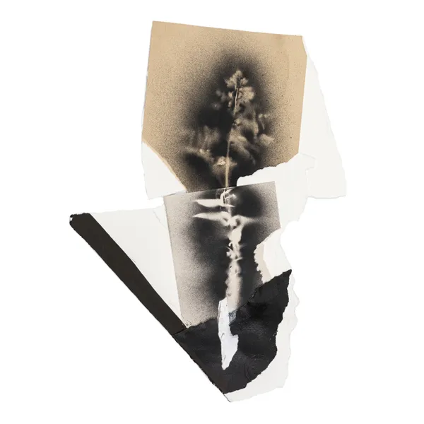 The Hybridist - s e r i e s