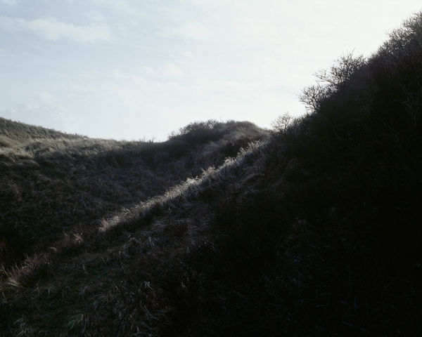 Misha de Ridder, Hazenwei, 2011