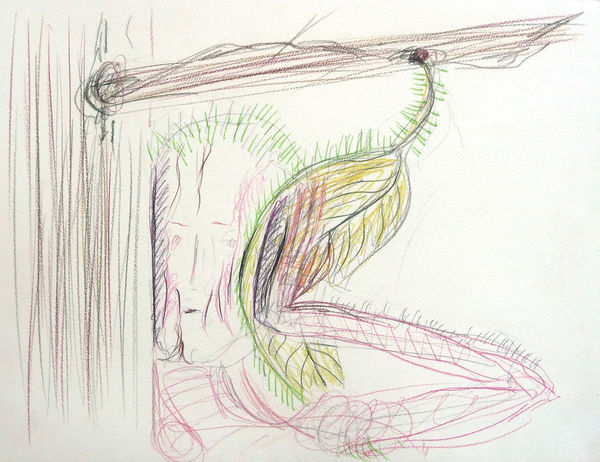 Pieter Slagboom, Head clamped between hairy leaf and tree trunk, 2015