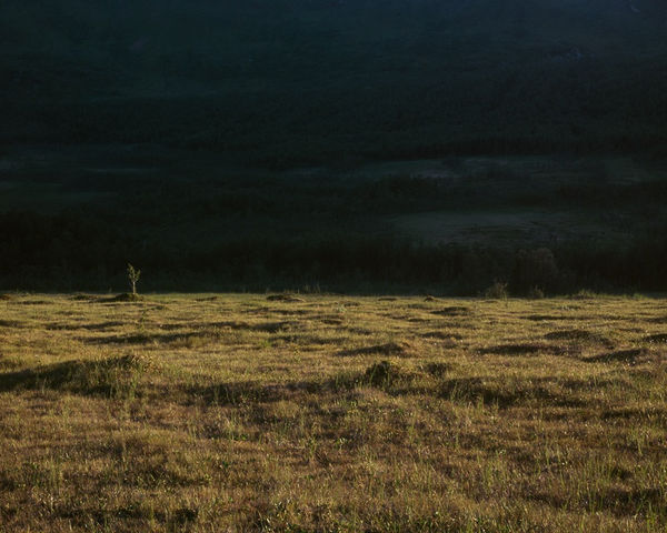 Misha de Ridder, Trollvassbu, 2011