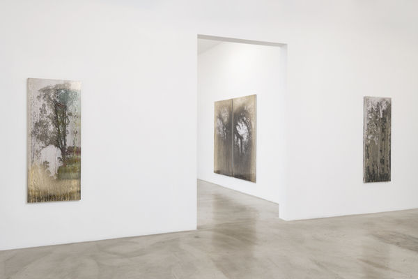 Matthew Brandt, AgX.Hb