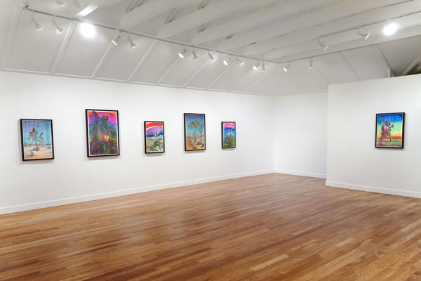 Installation view of Matthew Brandt: Joshua Trees at M+B, 2023