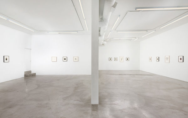 Aurel Schmidt and Pierre Molinier