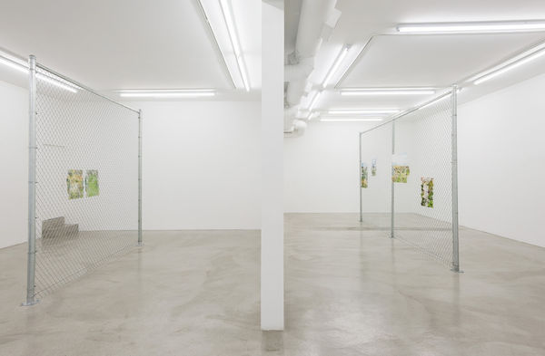 Dwyer Kilcollin The View, an LAXART Public Art Initiative